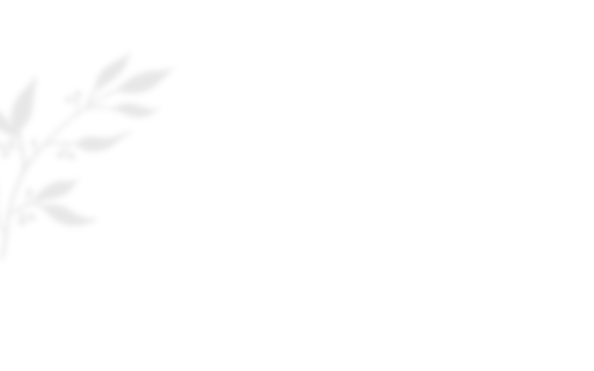 https://subtilevents.com/wp-content/uploads/2020/10/shadow_leaves_03.png