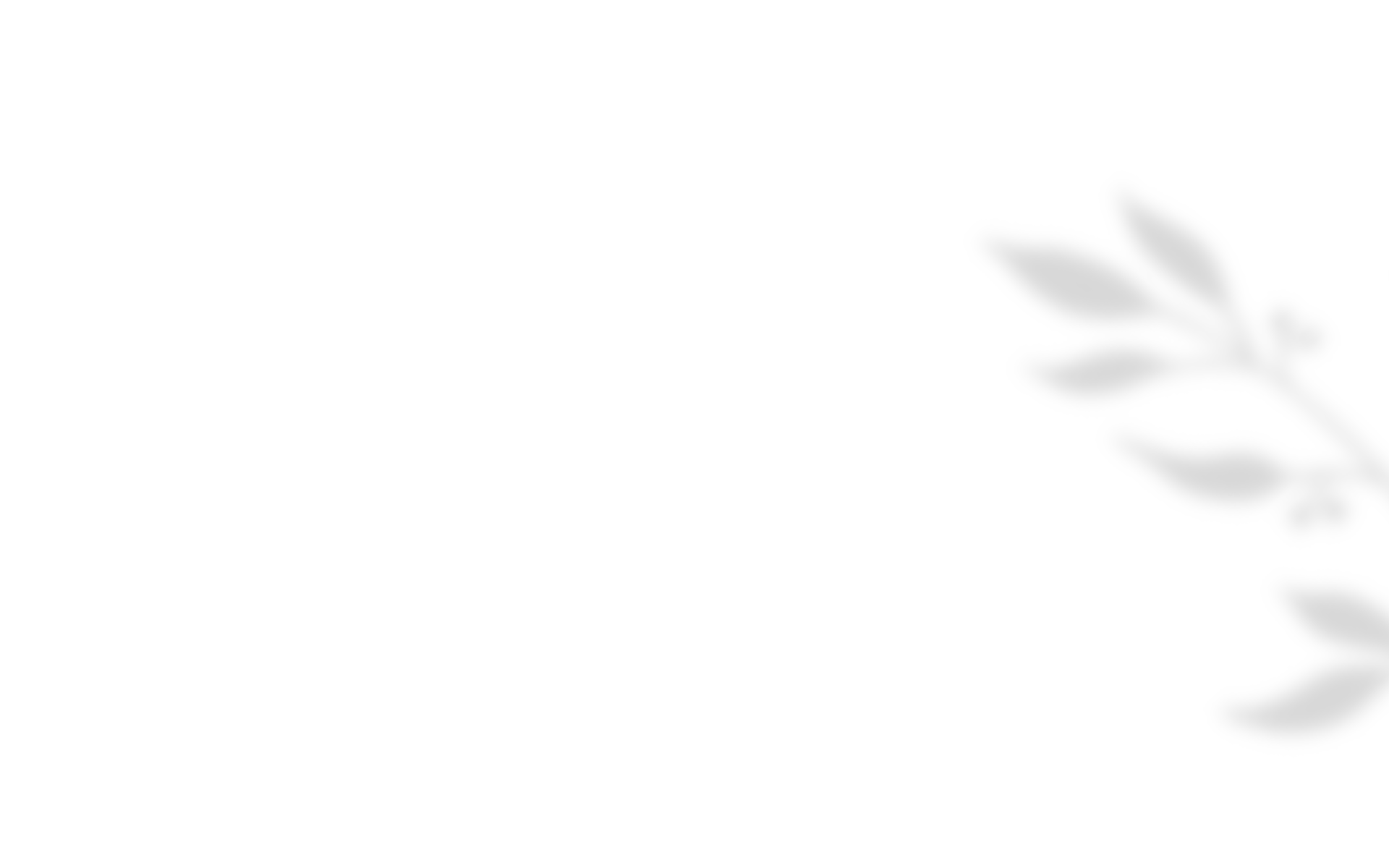 https://subtilevents.com/wp-content/uploads/2020/10/shadow_leaves_05.png