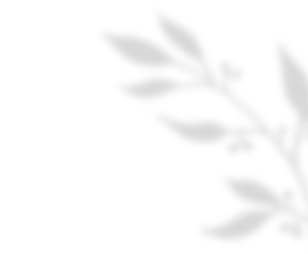 https://subtilevents.com/wp-content/uploads/2020/11/shadow_leaves_01.png